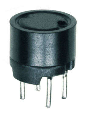 Inducteur de puissance d'immersion de profil bas, noyau de ferrite protégeant l'inducteur adapté aux besoins du client